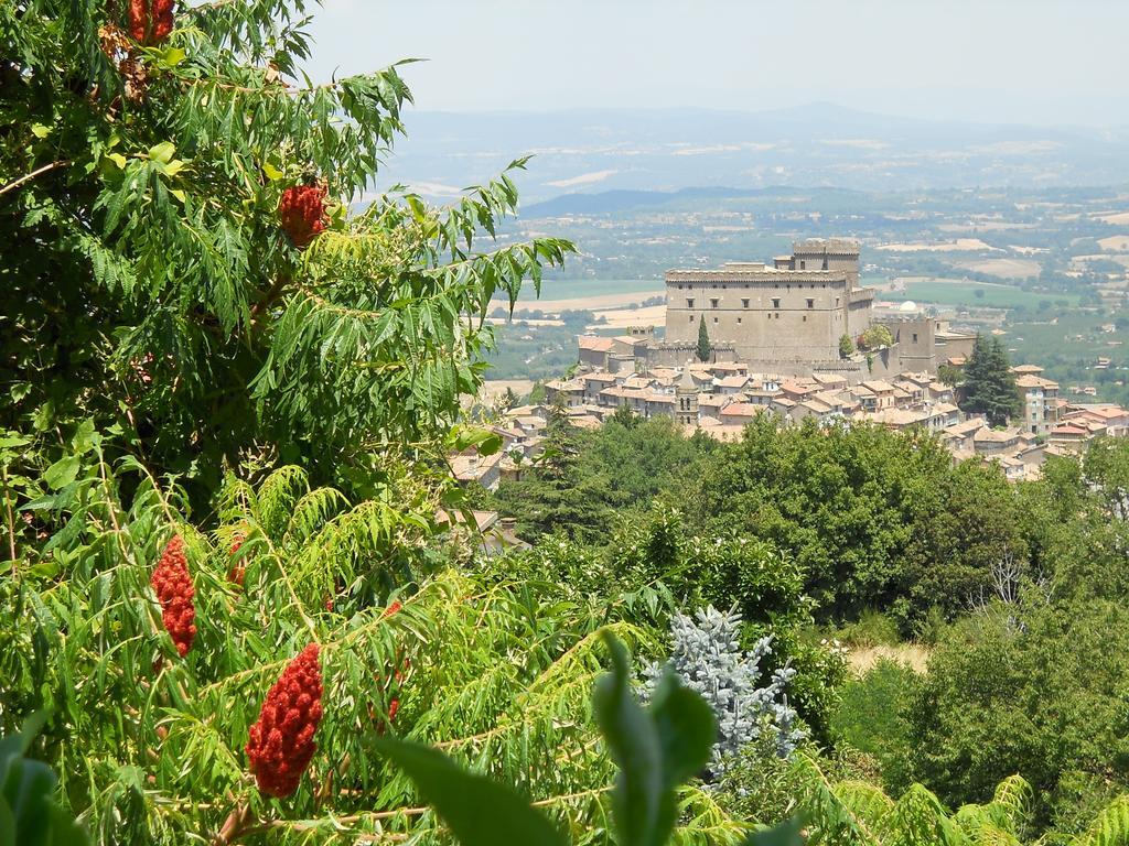 La Bastia Hotel & Resort Soriano nel Cimino Oda fotoğraf